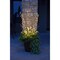 Celebrations Celebrations LED Warm White Lighted Branches 38 in. Yard Decor MICBTWIG38WWA - alternate 3